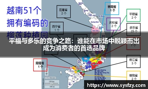 平福与多乐的竞争之路：谁能在市场中脱颖而出成为消费者的首选品牌